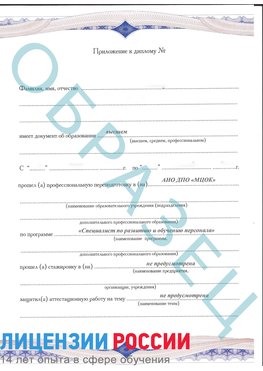 Образец приложение к диплому (страница 1) Богородск Профессиональная переподготовка сотрудников 